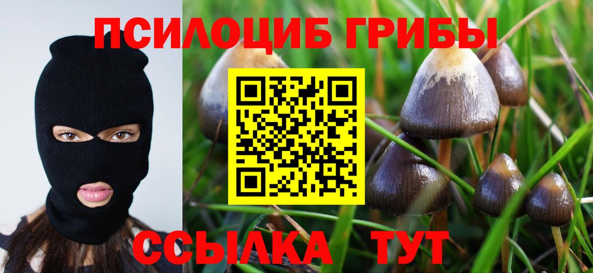 Псилоцибиновые грибы GOLDEN TEACHER  Вход с VPN  Щёкино  Галлюциногенные грибы Cubensis 