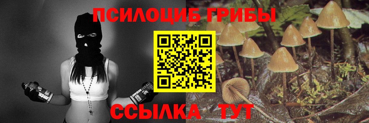 Галлюциногенные грибы Psilocybe Щёкино