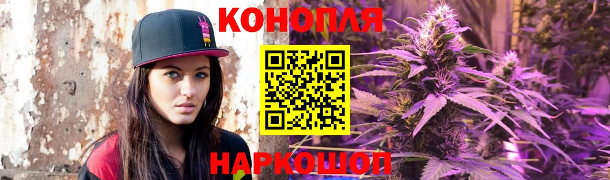 Канабис OG Kush Щёкино
